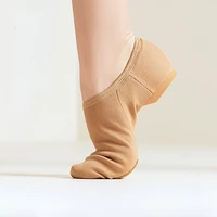 Zapatos de Ballet para mujer, suelas blandas de tela elástica, zapatos de baile de Jazz, zapatos de entrenamiento de Yoga clásicos para niñas, talla 29-44