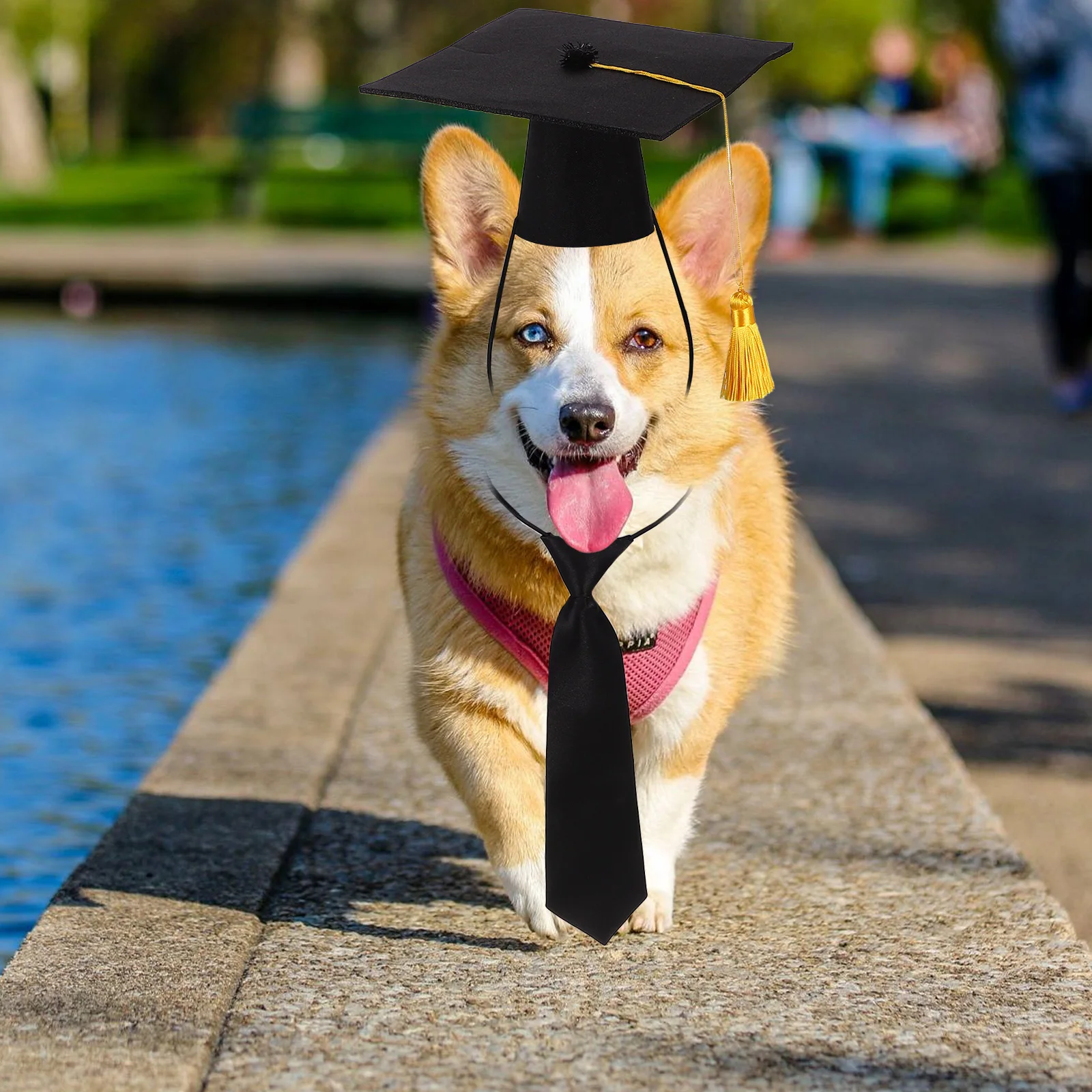 

1 set Party Costume Pet Necktie Ornament Puppy Doctoral Hat Decorative Clothing Durable Skin-Friendly Hat Necktie Kit For