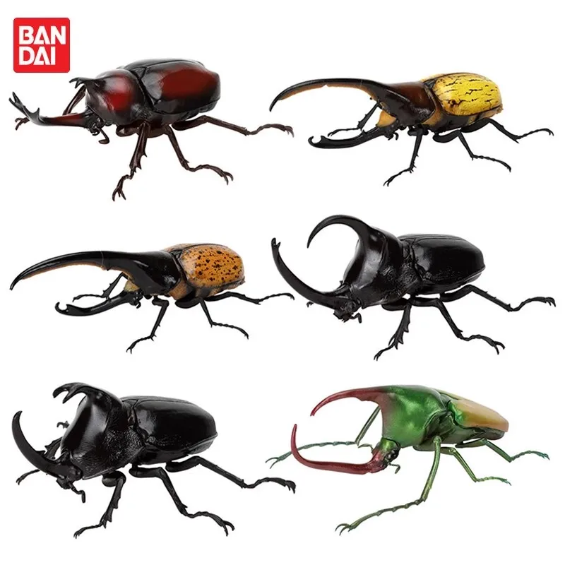 

Bandai Genuine 6 шт. Gashapon Разнообразие жизни на Земле かぶとimui/1909 Игрушки для детей Подарочные Коллекционная модель Украшения