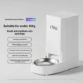 Basic model