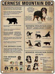 Bernese Mountain Dog Knowledge Aluminum Metal Signs Decor Sign Unique Gift Art Antique  tin decor