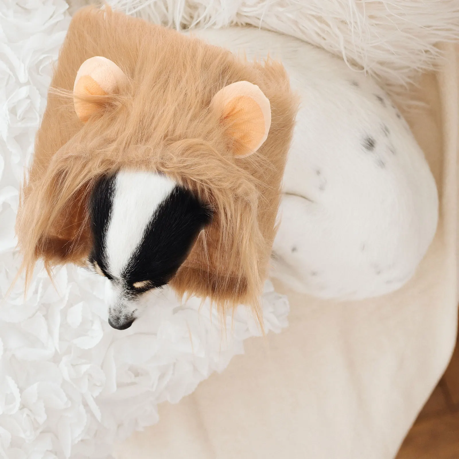 

Lion Head for Dogs Funny Lion Snoods For Dogs Mane Tail Brown M Halloween Costume Pet Accessories Small Dog Clothes