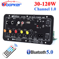 Woopker D10 Bluetooth Audio Amplifier Board 120W Subwoofer Dual Microphone AMP Module for 4 ohm 8-12 in Speaker 12/24V 100-240V