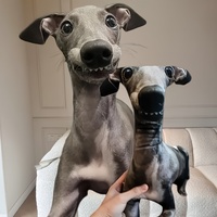 Customized Fun Pillow,Double sided Printing,Cute Dog and Cat Photos,Soft Polyester Material, Perfect Sleep Companion and Unique