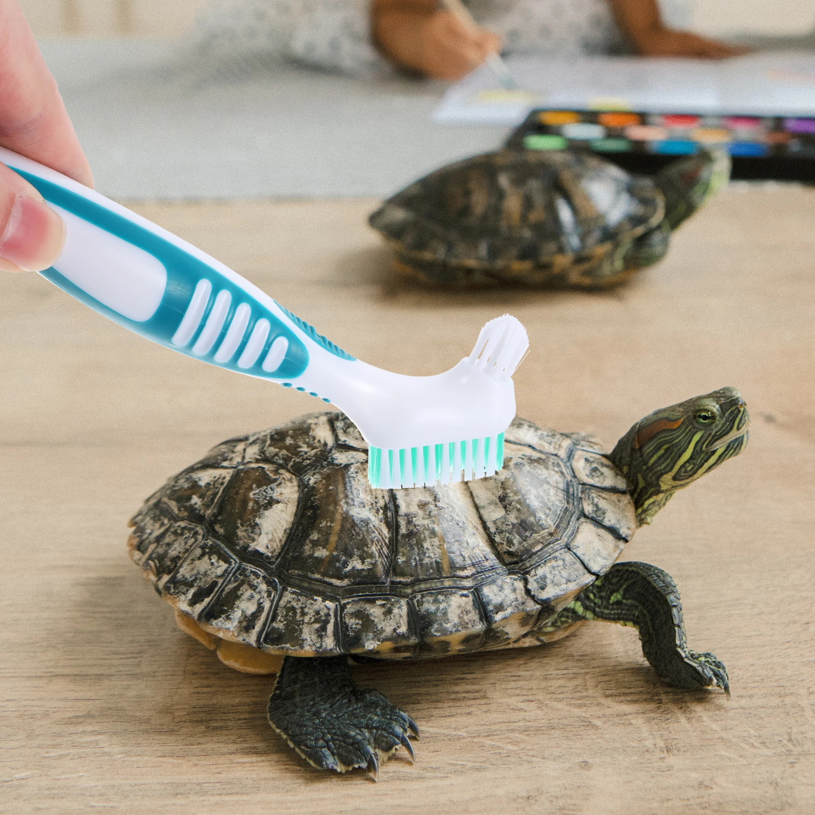 

Aquatic Tortoise Shell Cleaning Brush Double-Head Small Design Portable Multi-Functional Personal Denture Brace Cleaner