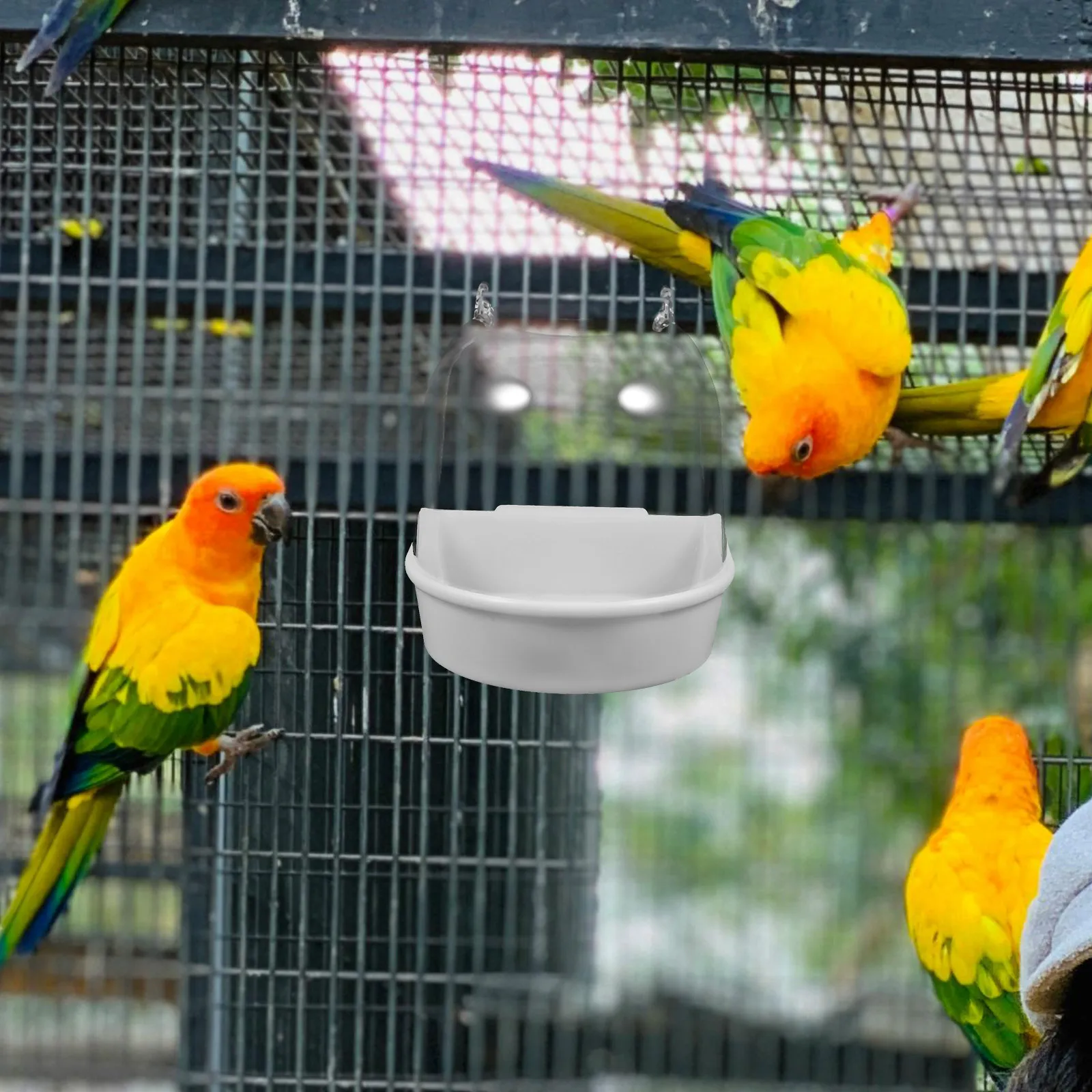 وعاء حمام الطيور حوض استحمام بلاستيكي معلق للطيور الصغيرة قفص الببغاء فينش Lovebird حوض استحمام ملحق مستلزمات الحيوانات الأليفة #1