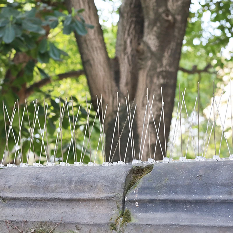 Mona anti-uccelli da balcone, kit chiodi spine 1 pezzo 25 cm, detersivo per piccioni in acciaio inossidabile per il controllo dei parassiti