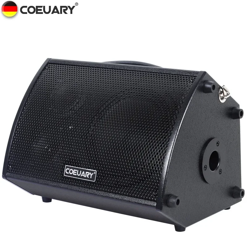 8Inch 100W Professional Wooden Speaker Box Electric Guitar Amplifier Outdoor Bass Instrument Sound System HIFI Bluetooth Speaker view 2