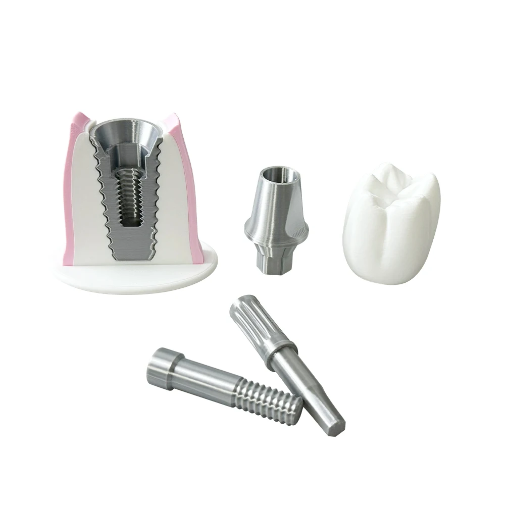 Thumbnail 4 - #29 Best Dental Teaching Models to Buy In 2026