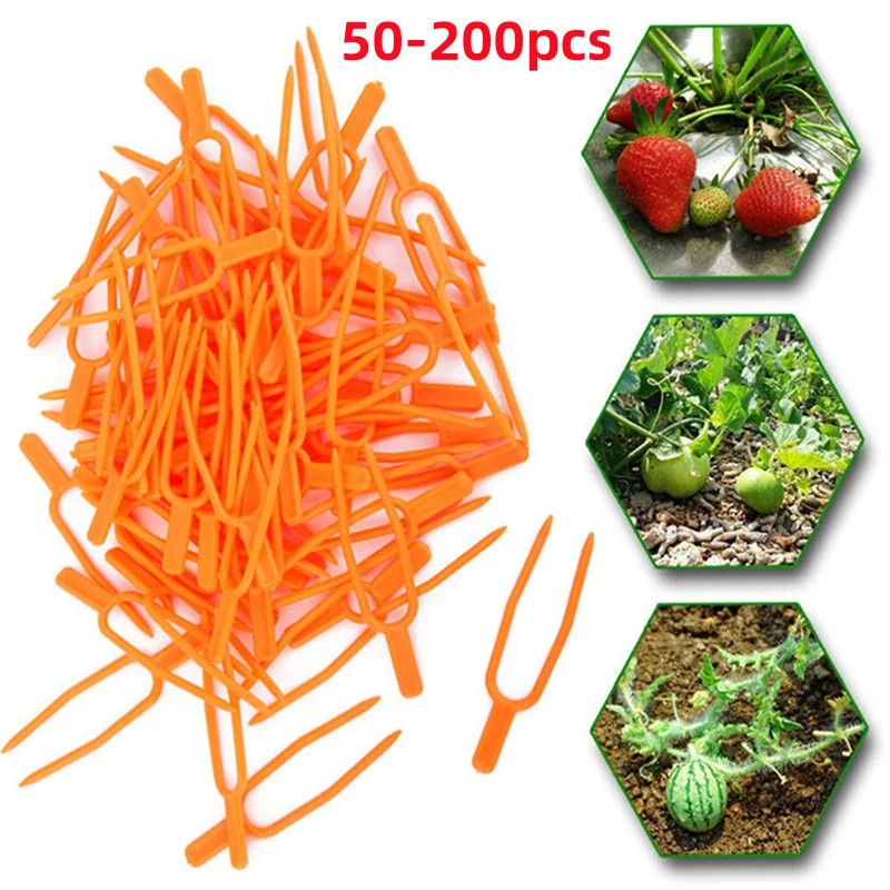 50-200pcs Plant Climbing Support Clips Plastic Plant Vine Holder for Flower Strawberry Seedling Tomato Garden Tools Supplies