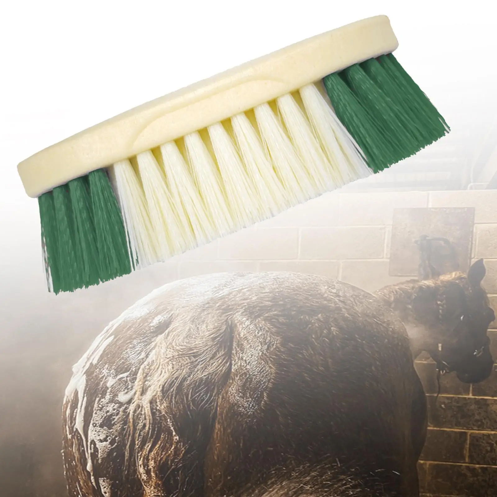 فرشاة تنظيف شعر الخيل بلون عشوائي مريح لركوب الهدايا لركوب الخيل