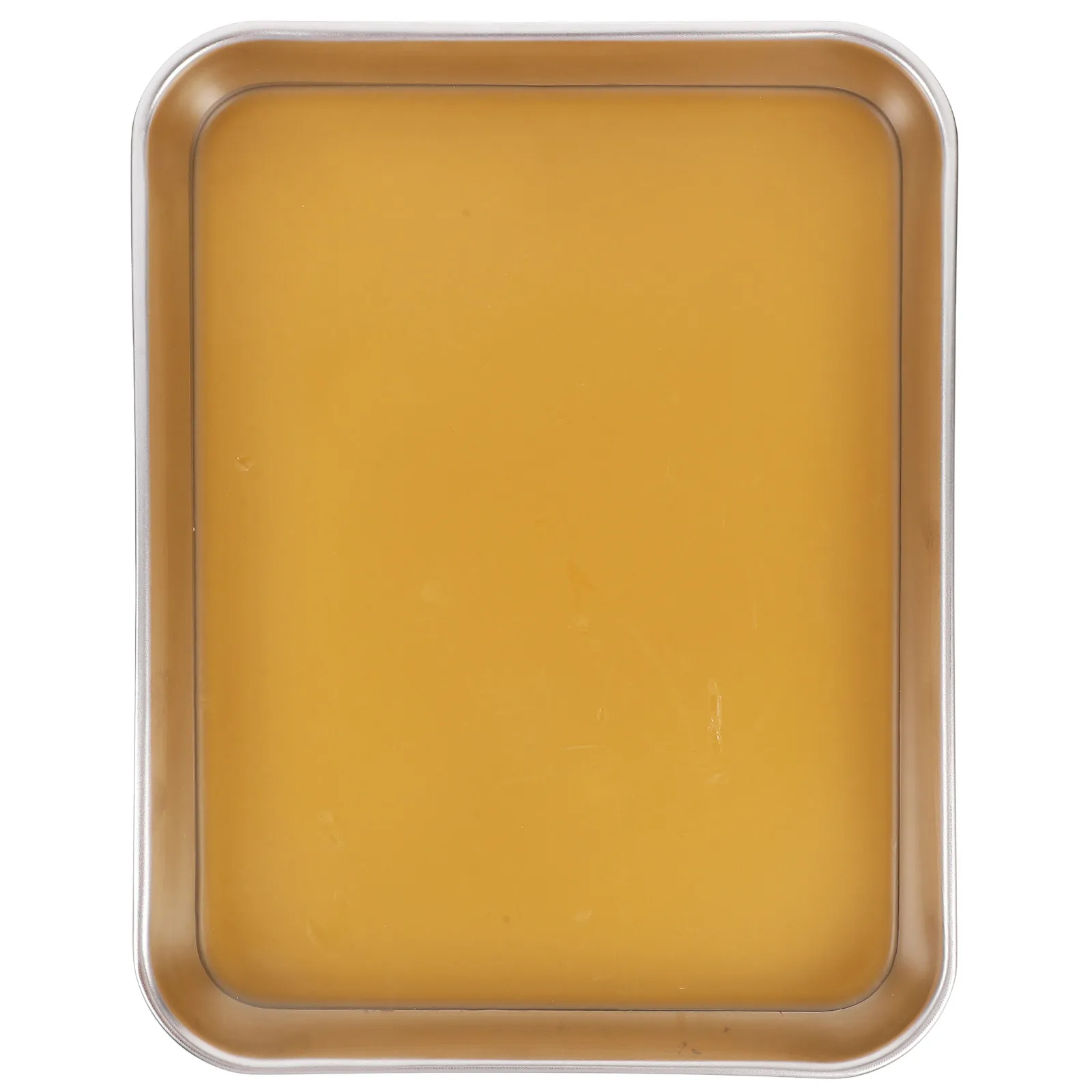 stainless-steel-dissecting-tray-wax-lined-durable-metal-tray-biology-labs-middle-high-school-laboratory-dissection-pan