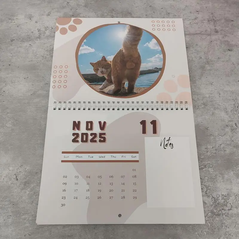 2025 Funny Hangable Paper Calendar Cat Balls Monthly Gag Humor Gift Prank Calendar for Home Livingroom Bedroom New Year Decor