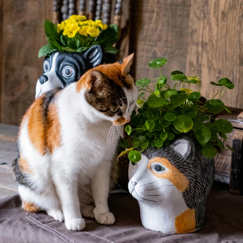 Cartoon Cute Plant Pot Cat Dog Flower Pot Succulent Container Large Diameter Garden Decoration Balcony Desktop Ornaments