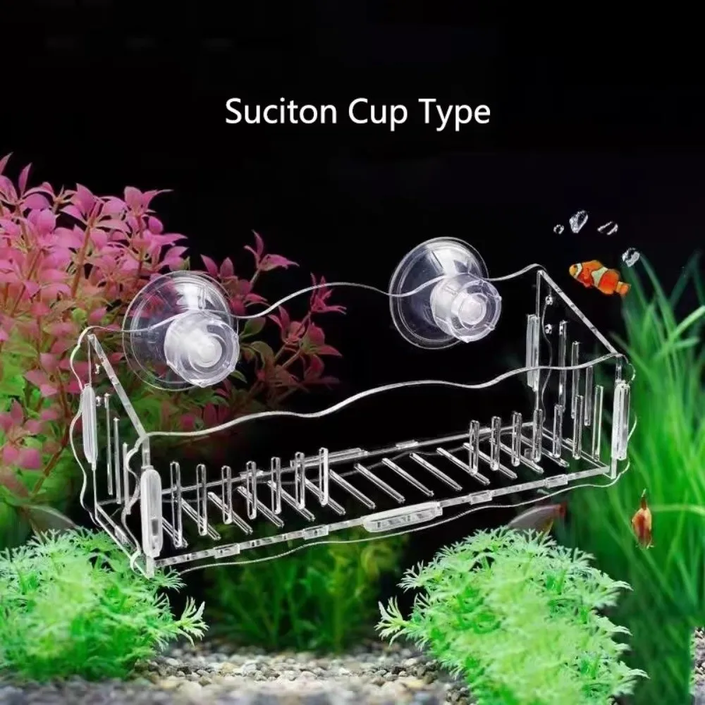 Acrylic Aquatic Plant Cup Transparent Suction Cup Mount Fish Tank Plant Holder Polka Pattern Slotted Structure