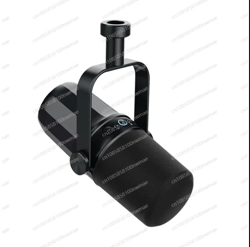 

Hot Sale Professional Studio Microphone Speaker with Bluetooth Speaker with BKX-40 Microphone