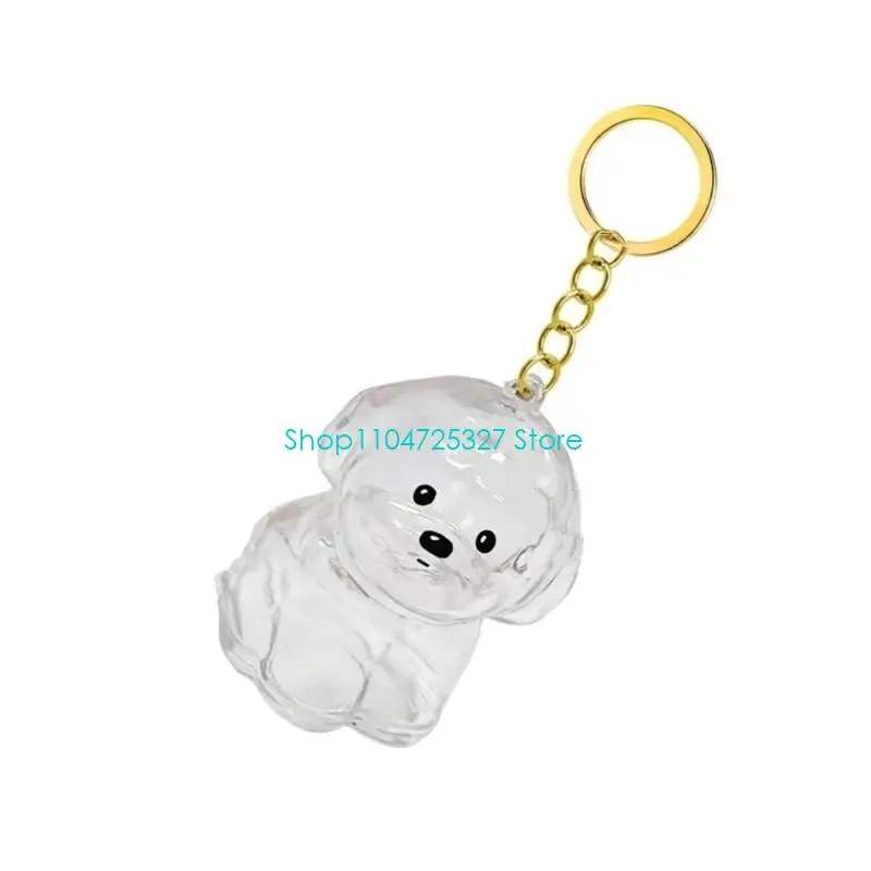 D8KF Clear Dog Hair Storage Box Keychain Memorial Jewelry With Secure Pet Loss Keepsakes For Emotional Supporting Gift