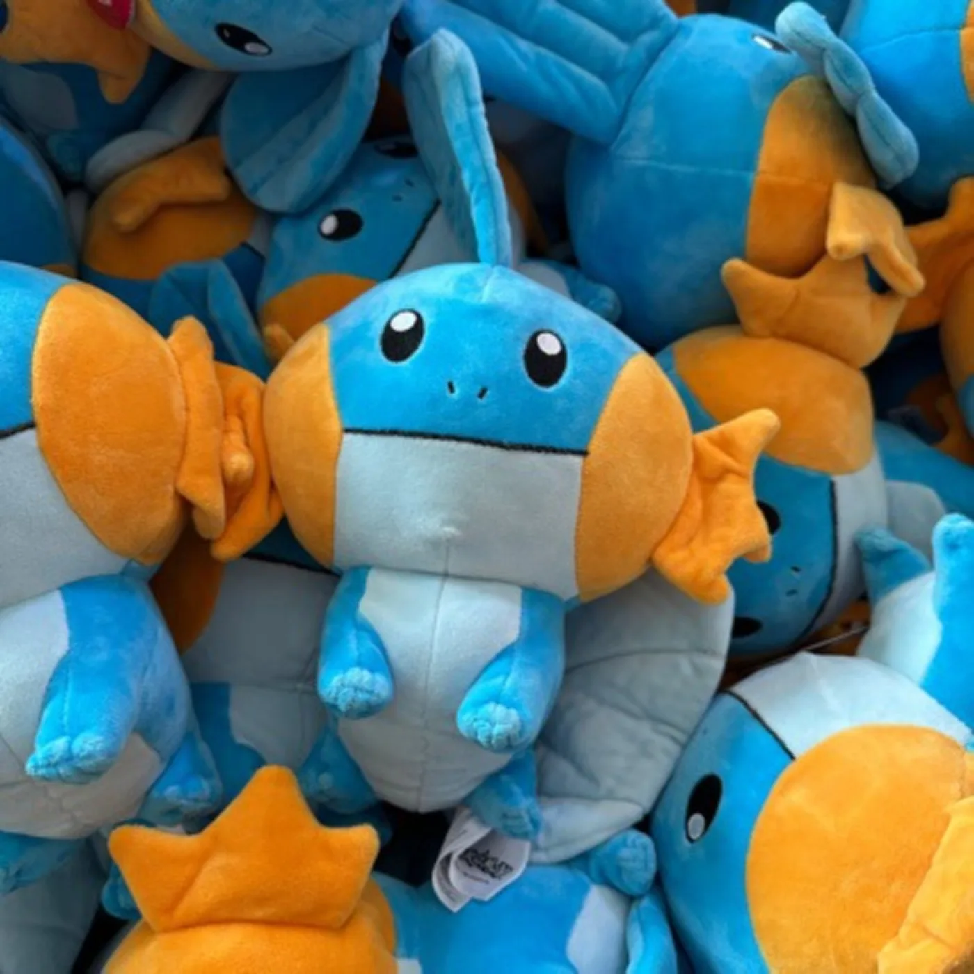 23/30cm Mudkip Pokemon Anime Soft Stuffed Plush Doll Cartoon Fish Birthday Gift Home Decoration Throw Pillow Plush Toys