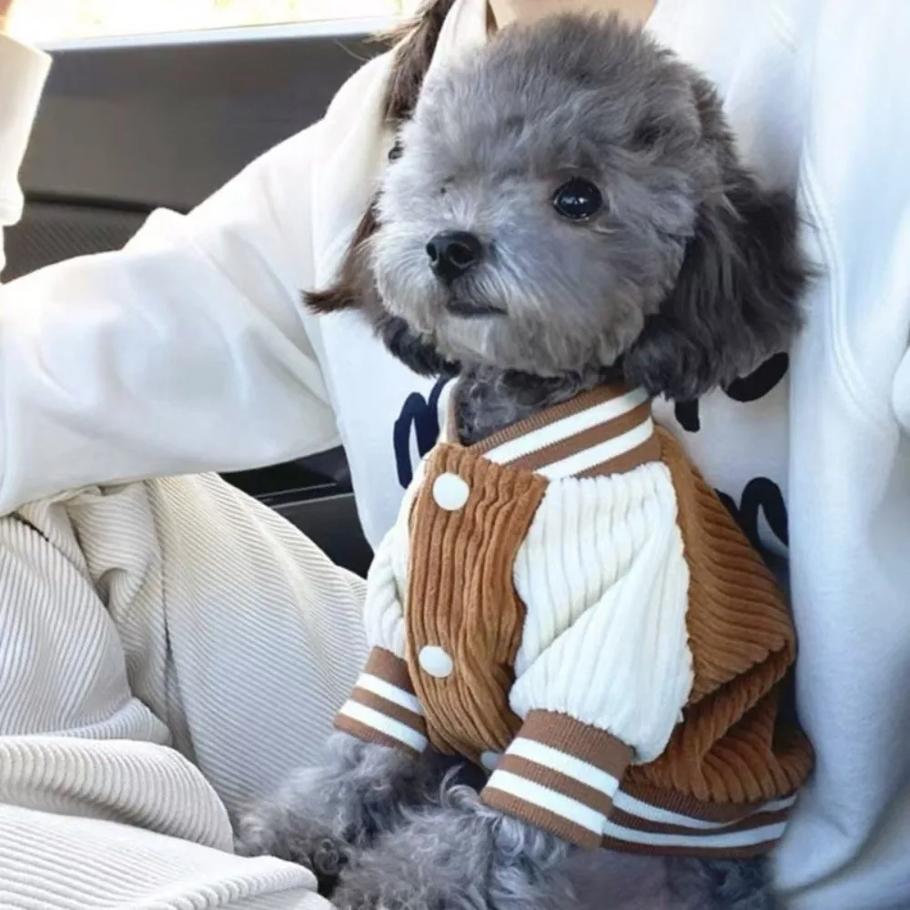 Thumbnail 3 - #11 Dog Apparel Discount Picks