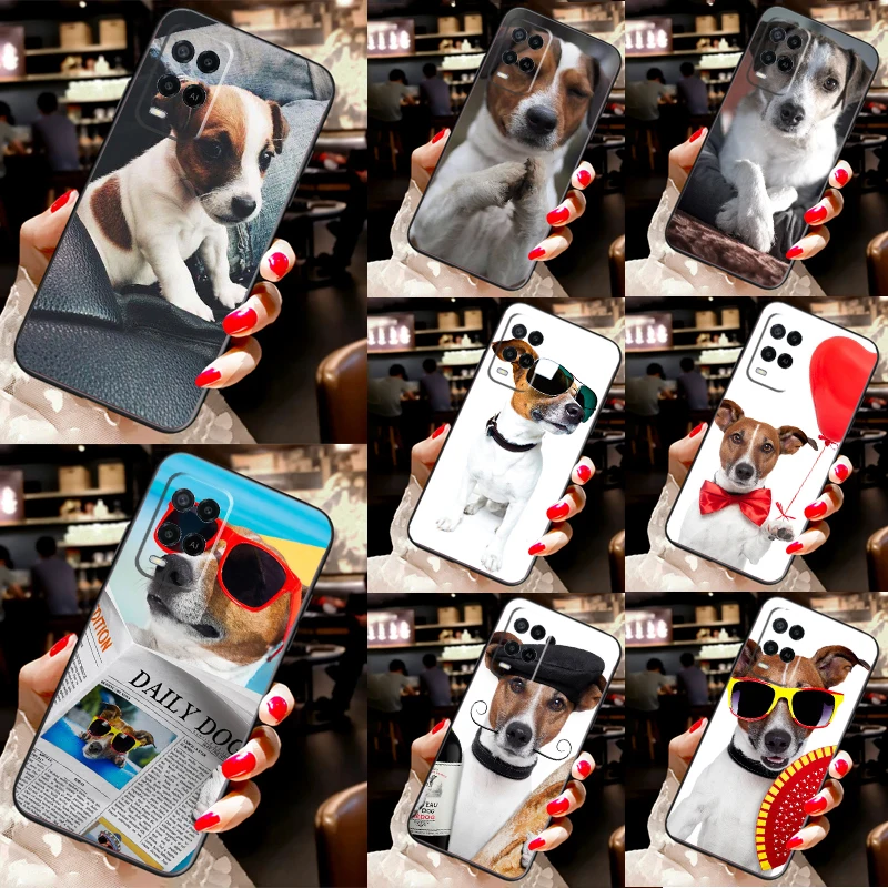 Jack Russell Terrie… - image