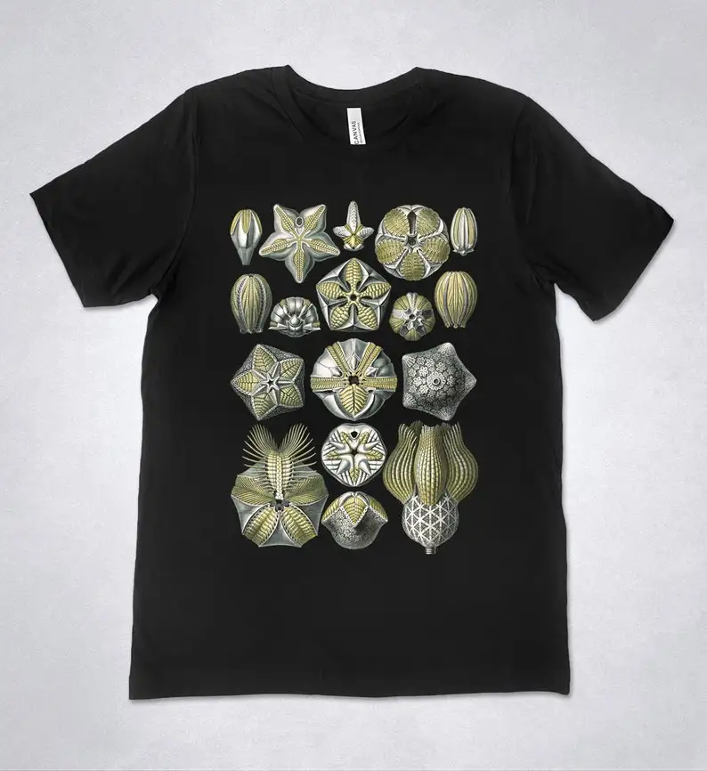 

Ernst Haeckel t-shirt - Blastoidea, Art Forms of Nature - 1904, Haeckel shirt, Haeckel t-shirt, Vintage illustration t-shirt, Ha