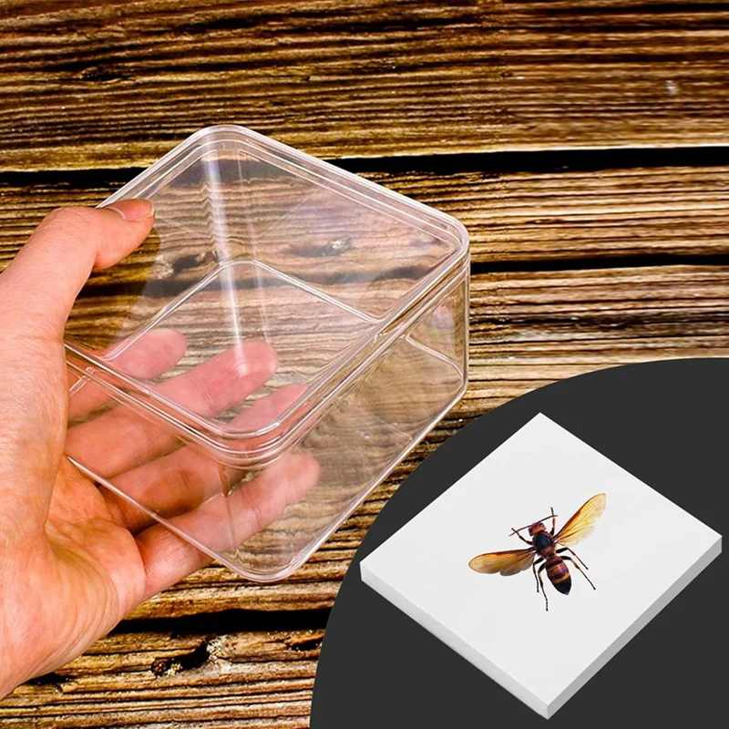 Insect Specimen Pinning Kit, Making Butterfly Specimen Tools For Science Education, Specimen Collection And Enthusiasts