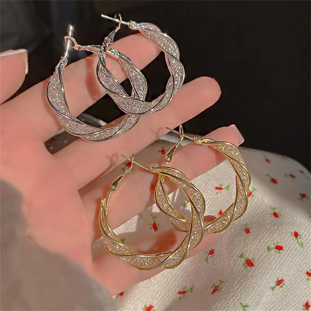 

1 Pcs Hollow Mesh Crystal Twisted Hoop Earrings New Fashion Simple Korean Cold Wind Earrings Jewelry For Women Trendy 2023