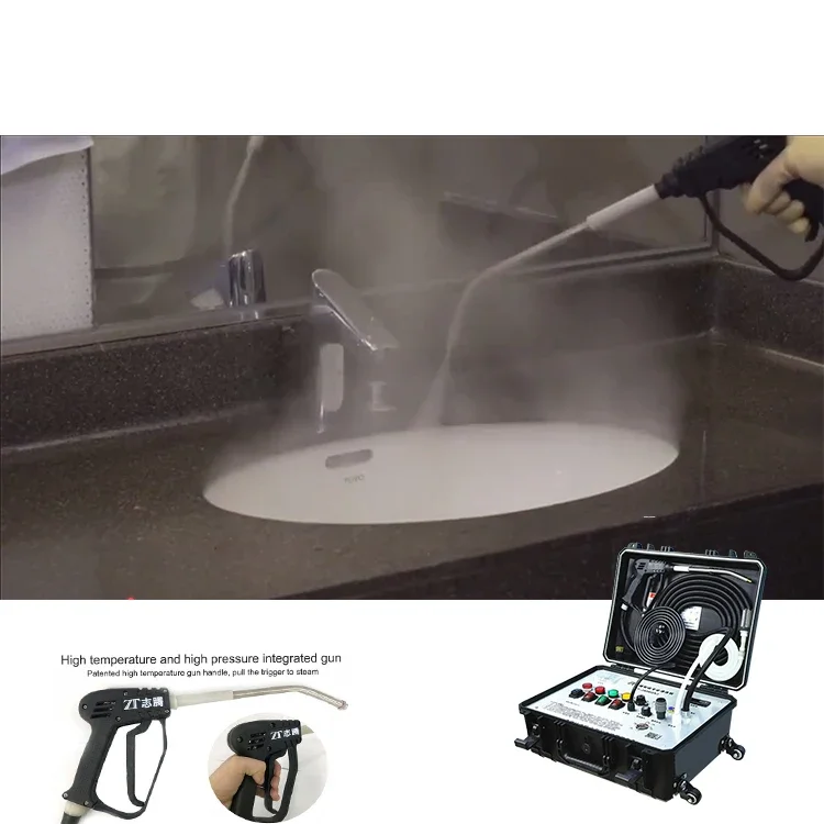 

OEM Professional Home Appliance Kitchen Sinks Hook Ultrasonic Cleaning Machine High Temperature Dry Wet Steam Cleaner