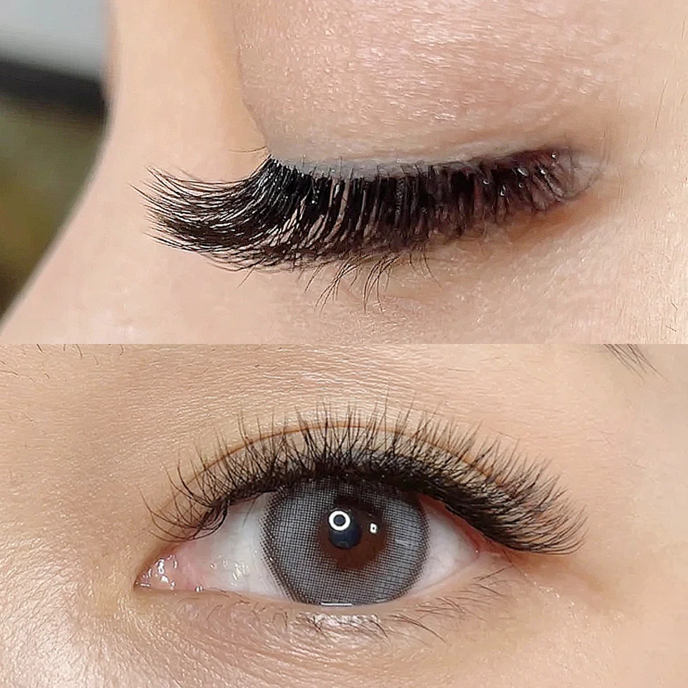 Lashtalk 3D Clover Eyelash Extensions Auto Flowering W Shape Bloom Premade Fans Soft Light False Eyelashes Makeup From Nagaraku
