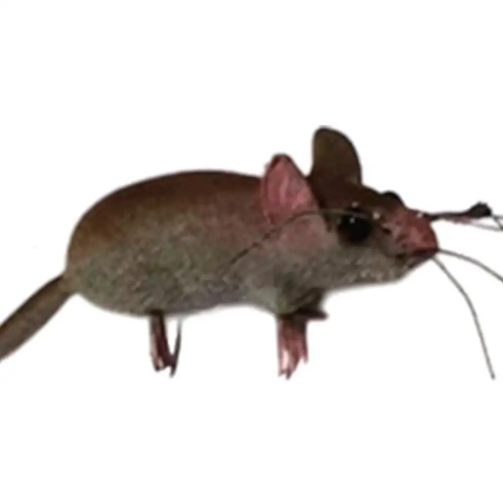 Spoof Prop Lifelike Mouse Animal Ornament Clay Pot Hanger Fridge Toy for Photo Prop Home Decoration