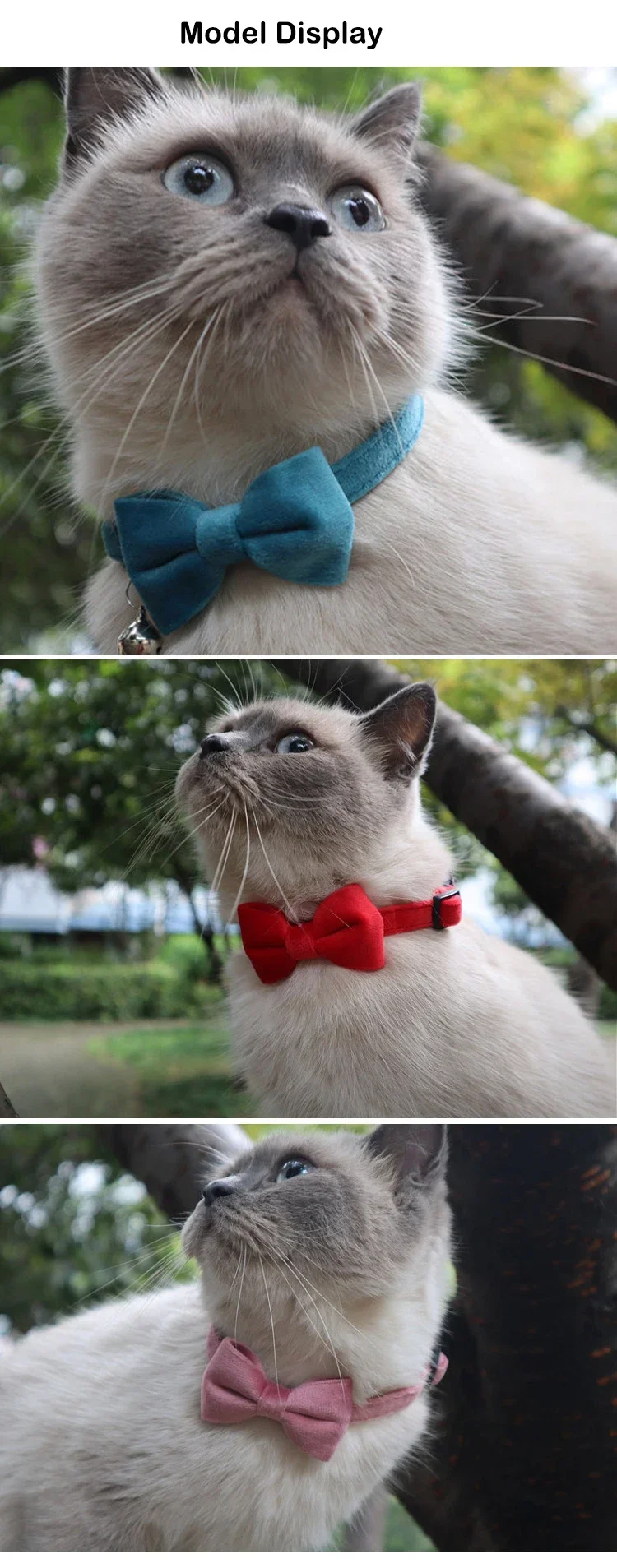 Samt-Katzenhalsband Einfarbig mit Schleife Welpen-Chihuahua-Halsbänder mit Glocke Verstellbare Sicherheitsschnalle Katzen-Fliege Haustierzubehör – Detail 3