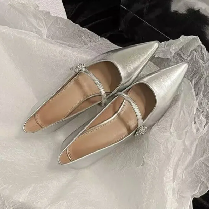 Pointed Toe Women Shoes 2024 Spring New Silver Mary Jane Shoes Comfortable Low Heel Dress Shoes Simple Versatile Women\'s Pumps