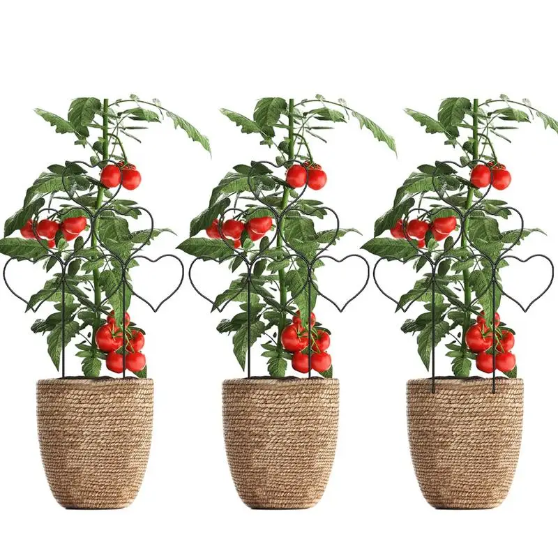 

Plant Trellis For Climbing Plants 3Pcs Small Garden Trellis Stackable Pot Plant Support Houseplant Trellis For Vine Ivy Flower