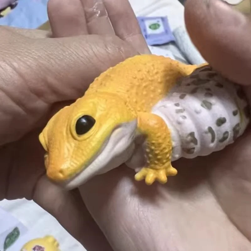 Nowa marka Bandai na gorąco, autentyczne symulowane zwierzęta Eublepharis Macularius Ambystoma Mexicanum zwierzęca ręcznie figurka dekoracja blatu