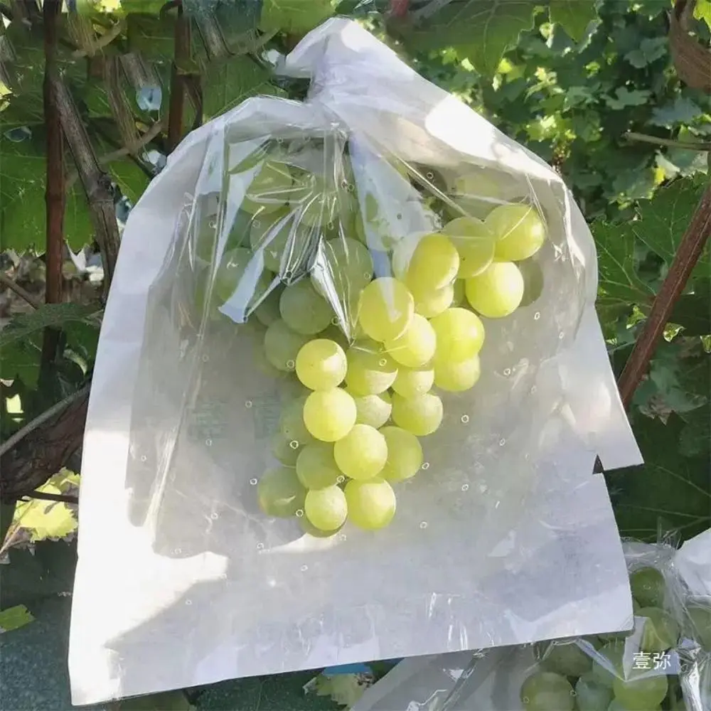 

100pcs Semi Transparent Grape Protection Bags Anti-Bird Breathable Against Insect Pouch Waterproof Fruit Vegetable Paper Bag