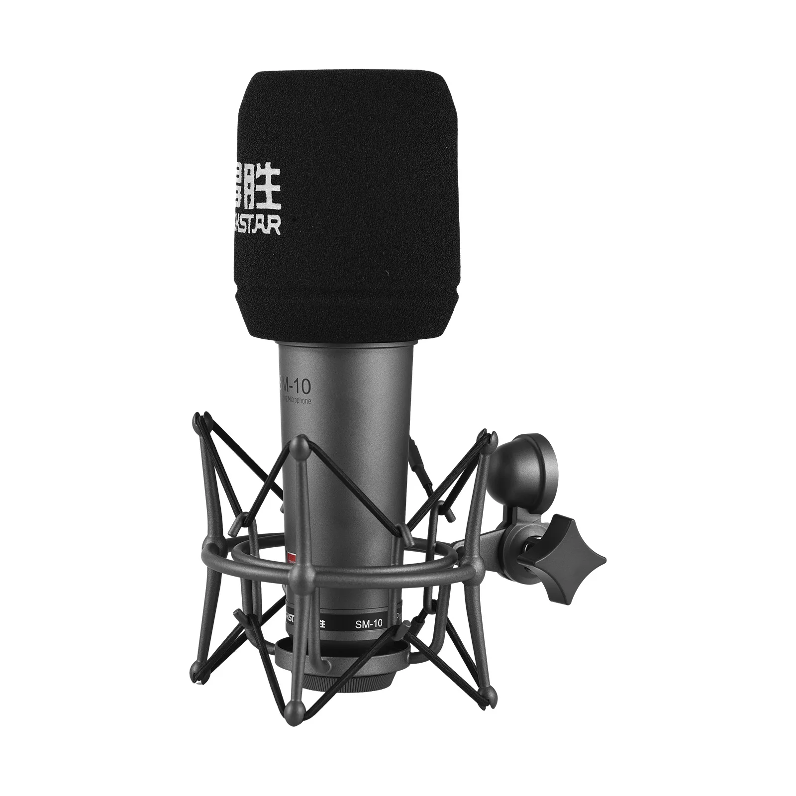 TAKSTAR SM-10 Unidirectional Professional Recording Microphone Home Studio Voice Recording Equipment Condenser XLR Microphone