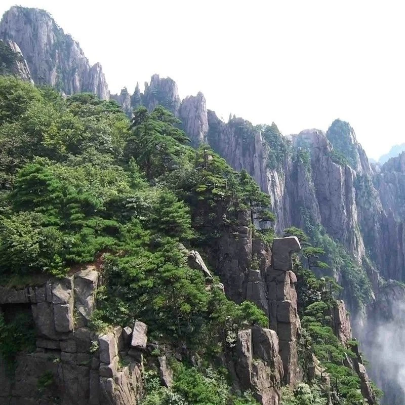 

Adjustable 5Pcs Sectional Front Spoiler Lip For Mercedes-Benz C Class W202 1993-2000 Front Bumper Splitter Sport Body Kit