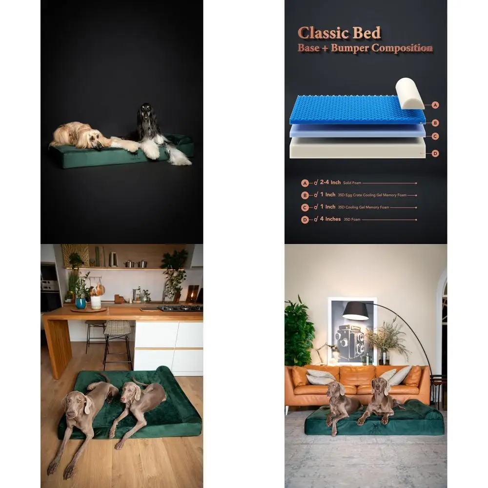 

XXL Orthopedic Dog Bed 55x45x9.5, Gel-Infused Memory Foam, Waterproof & Washable, Velvet Inner Cover