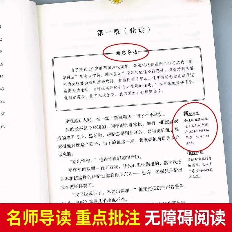 World Classic Literature Reading Curriculum Series, Extracurricular Reading Books for Middle and High School Students