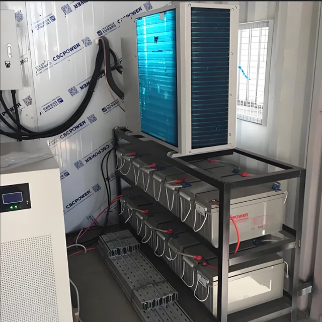 Contenitore Camminata nella stanza di stoccaggio freddo Frigorifero Congelatore Commerciale ad energia solare con pannello