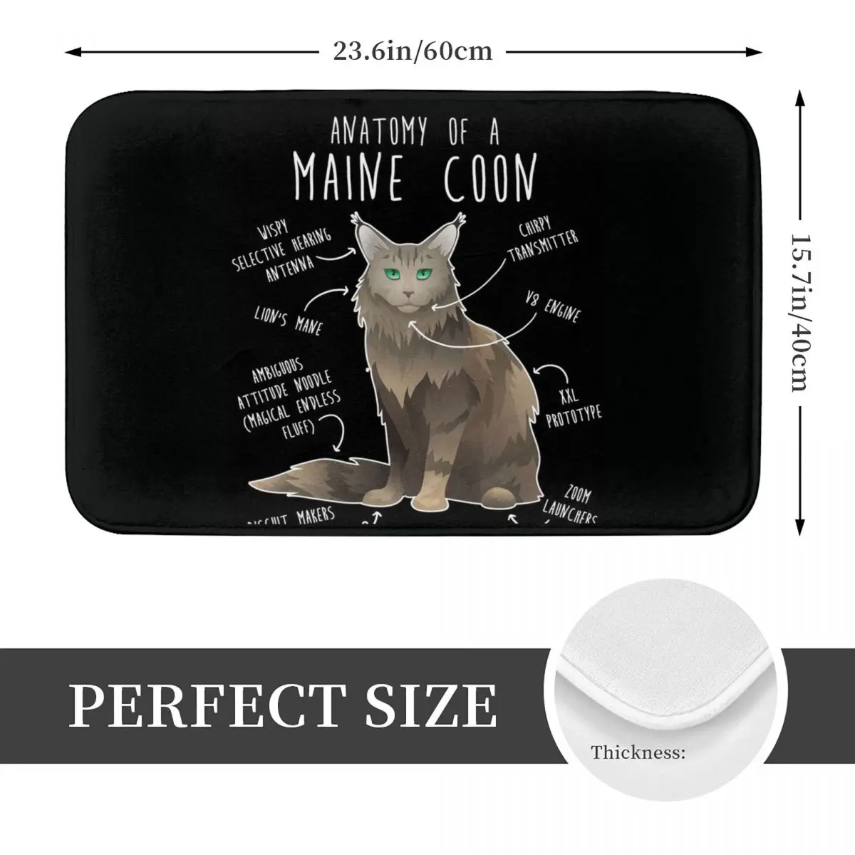 Maine Coon Cat Anatomy Doormat Non-slip Super Absorbent Bath Mats Home Entrance Rugs Kitchen Bedroom Carpet Hallway Footpad