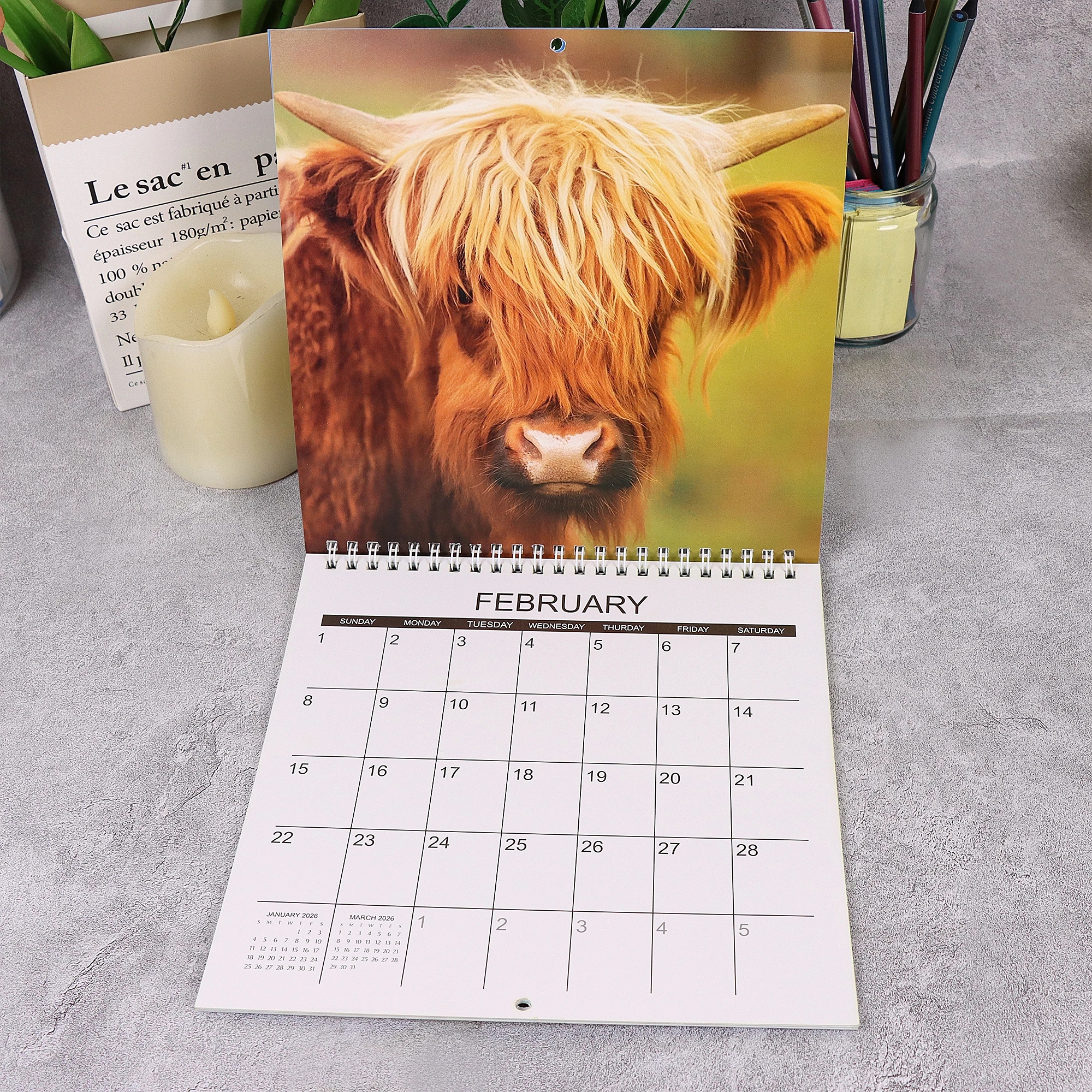 

Календарь Hghland Cows 2026, подарок на Рождество и Новый год, прочный ежедневник, забавный календарь