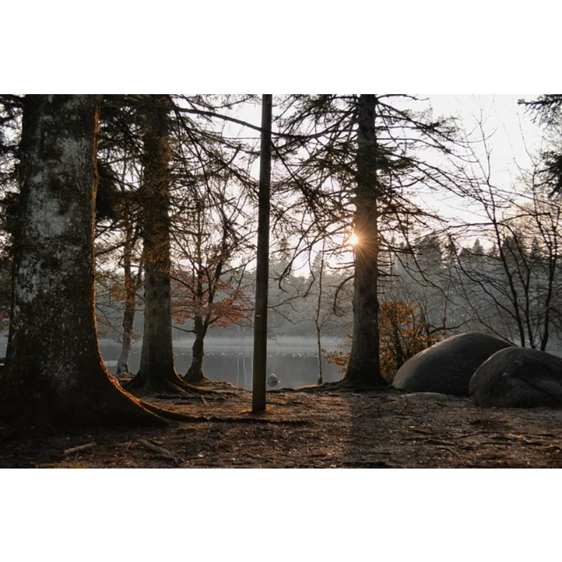 

Трехосевая камера SKYDROID C12 с интеллектуальным отслеживанием, высоким разрешением, тепловизионной съемкой и инвертированным зумом