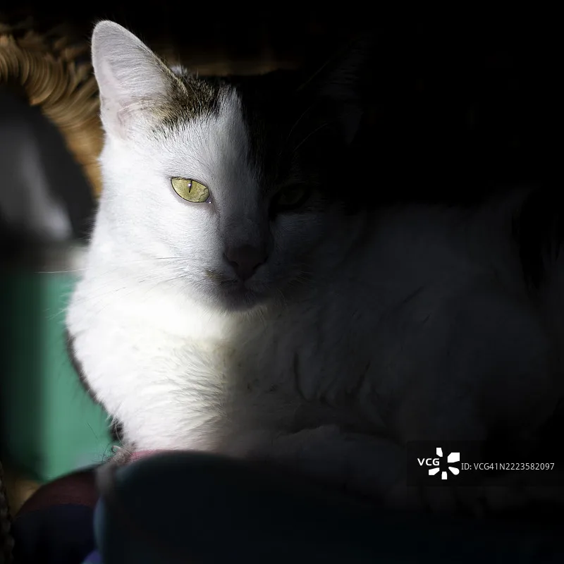 Hawkspeed Emax Tiny…