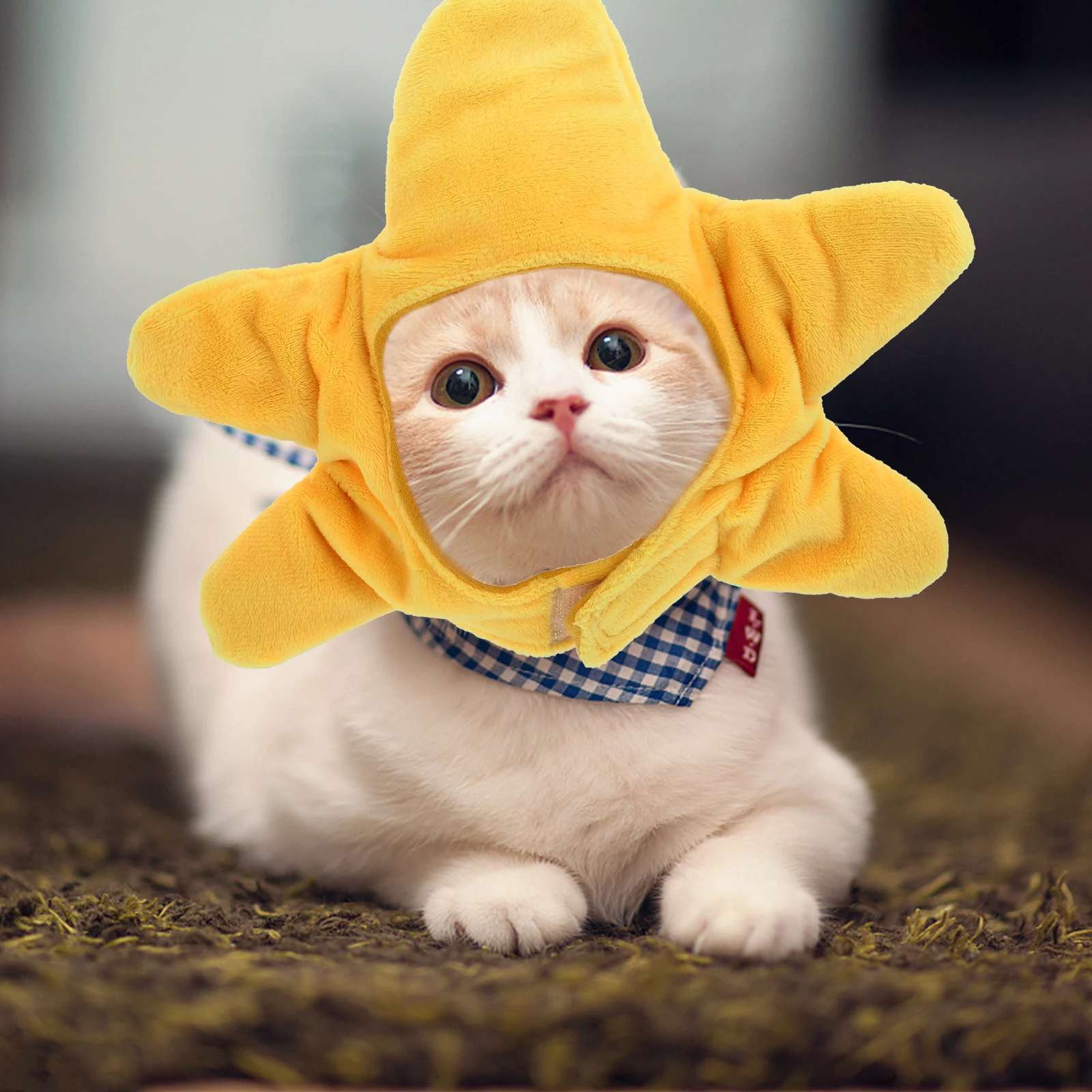 

Adorable Cat Head Cap Dog Cosplay Hat Dress Up Costume Creative Hats Pet Headwear Christmas Party Pet Coat Jacket