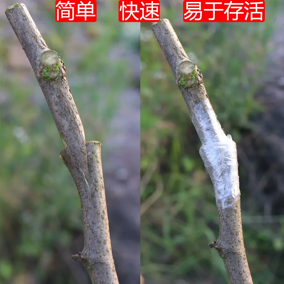 For Sono Grafting Machine J60 Imported Fruit Tree Seedling Grafting Multifunctional Grafting Artifact Special  New Tools