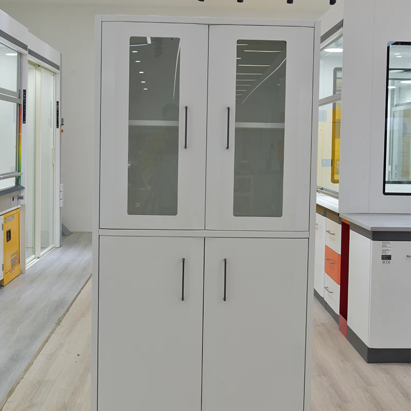 Professional Customized Laboratory Chemical Reagent Storage Cabinet With Glass Doors