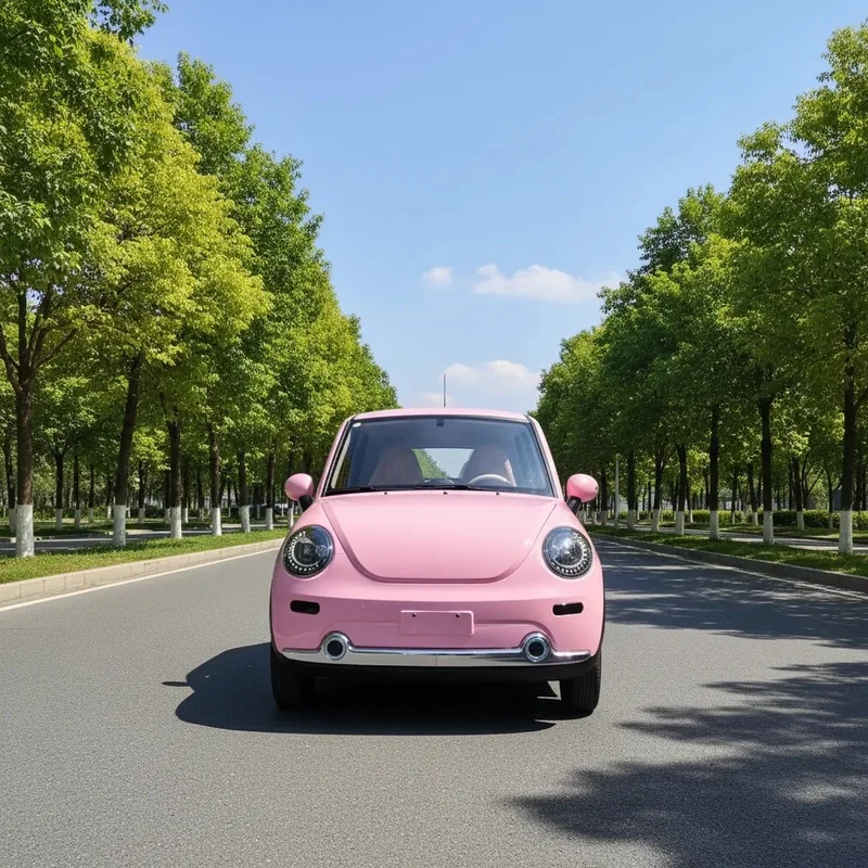 Factory Car 2-Door 4-Seater Low-Speed 4-Wheel New Energy Vehicle 45km Range Elder