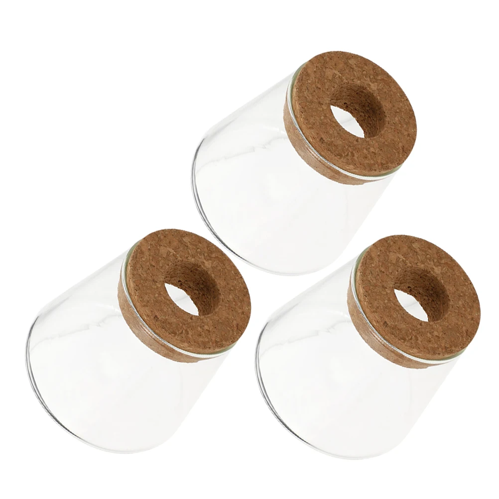 

3pcs Hydroponic Glass Vase Transparent Plant Root Desk Decor Small Hydroponic Glass Pot Planter Jar