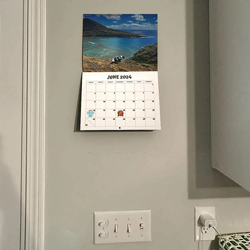 Calendario de pared para regalo de Navidad, 1 piezas, 2024, enero de 2024, a partir de diciembre